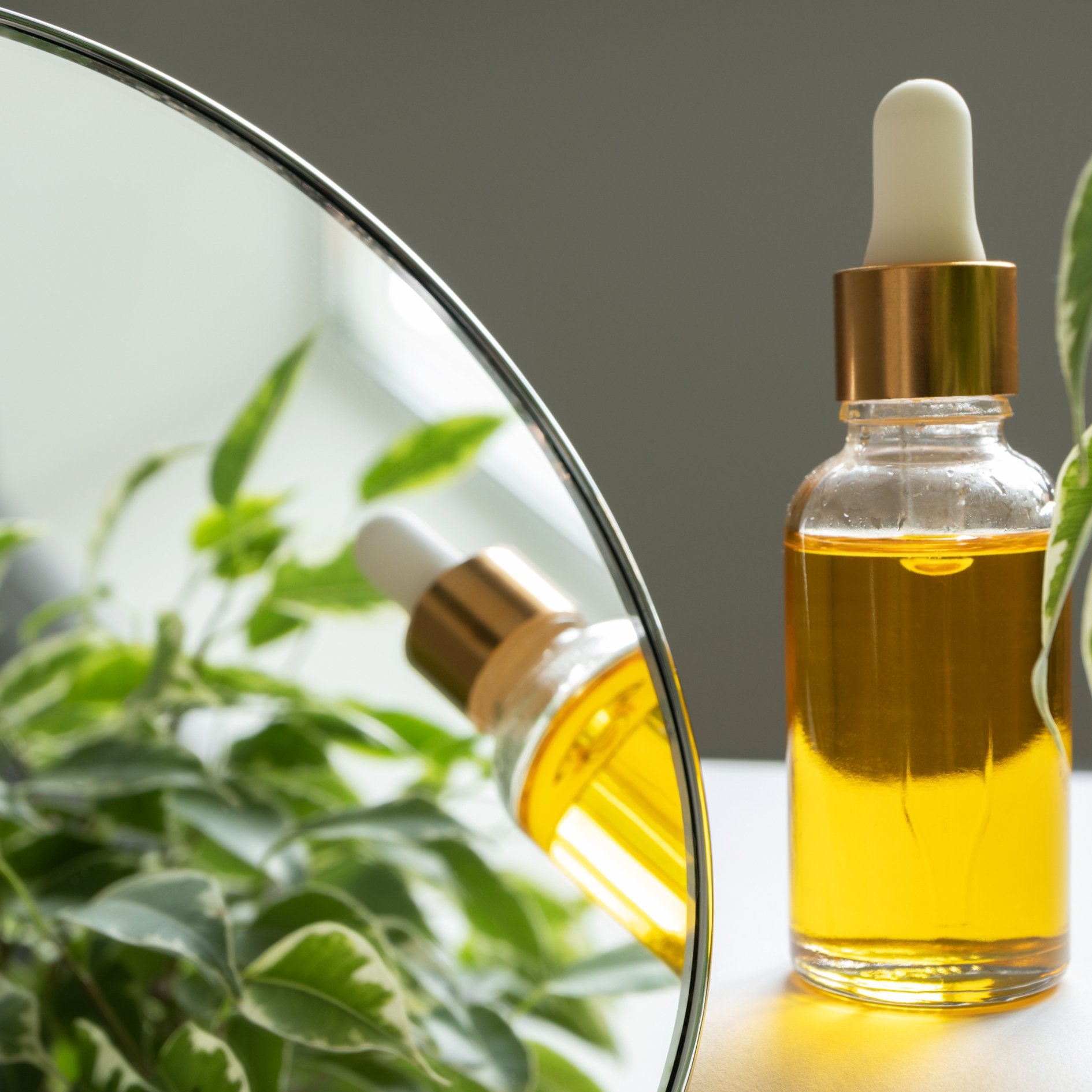 Why Plant Oils are Great for Your Skin (Even if You Have Oily Skin!) - Green + Beauty Skincare